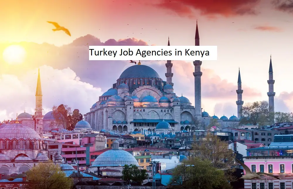 Turkey Job Agencies in Kenya